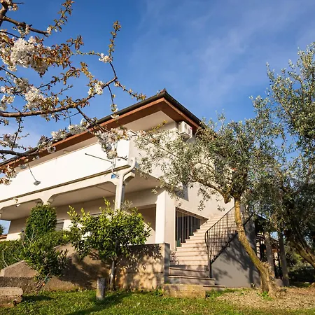 Olive Garden Apartment Plovanija Exterior photo
